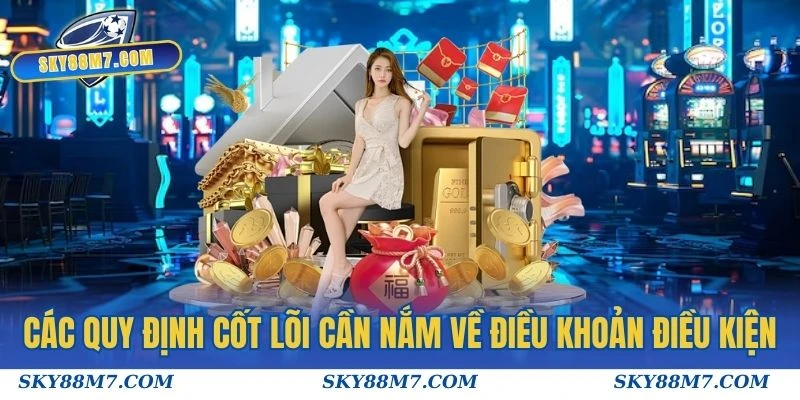 Các quy định cốt lõi cần nắm về điều khoản điều kiện