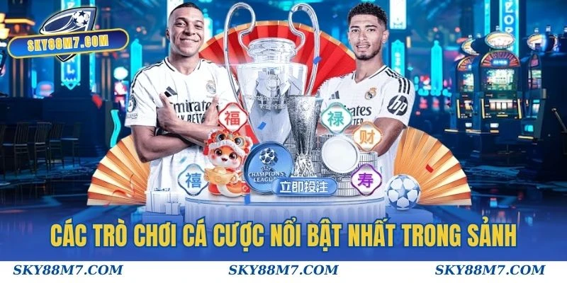 Các trò chơi cá cược nổi bật nhất trong sảnh Thể thao Sky88