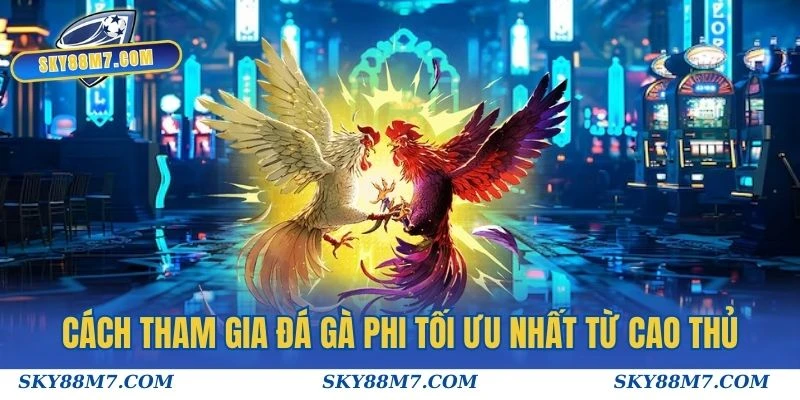 Cách tham gia Đá gà Phi tối ưu nhất từ cao thủ