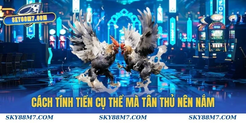 Cách tính tiền cụ thể mà tân thủ nên nắm khi tham gia Đá gà thomo